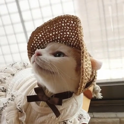 Sombrero Elegante con Encaje para Gatos - Protección Solar - Image 11