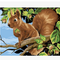 Kit de Pintura al Óleo de Animales DIY
