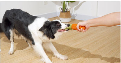 Juguete Masticable para Mascotas Zanahoria Resistente con Sonido - Image 8
