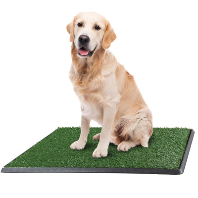 Inodoro Portátil para Mascotas con Césped Artificial - Image 4