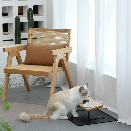 Comedero Elevado de Cerámica para Gatos - Image 12