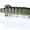 Pike C