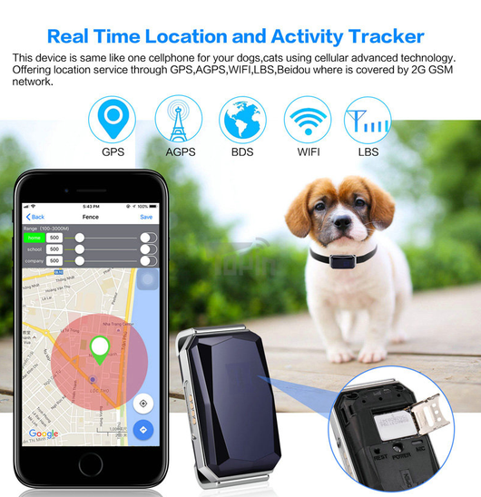 Localizador GPS para Mascotas - Image 7