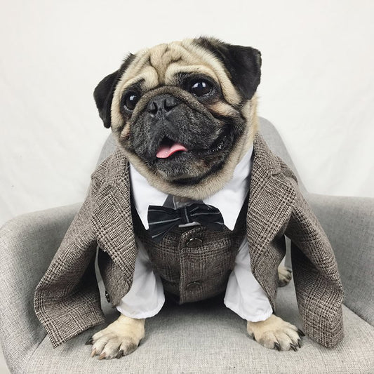 Traje de Boda para Mascotas