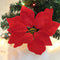 Navidad Flower