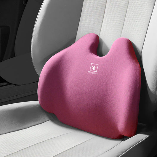 Cojín Lumbar Ergonómico para Auto y Oficina - Image 13
