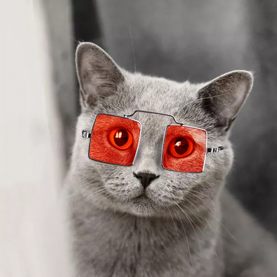 Gafas Personalizadas con Decoración de Cachorro