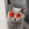 Gafas Personalizadas con Decoración de Cachorro