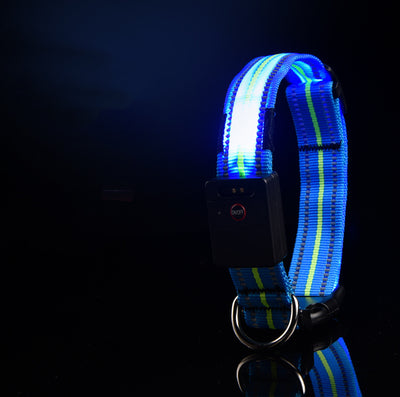 Collar Luminoso para Perro - Image 12