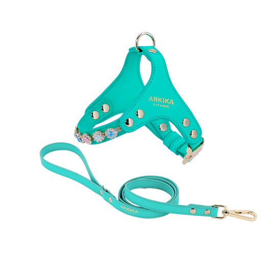 Arnés y Correa para Perro de Cuero PU con Strass Ajustable - Image 34