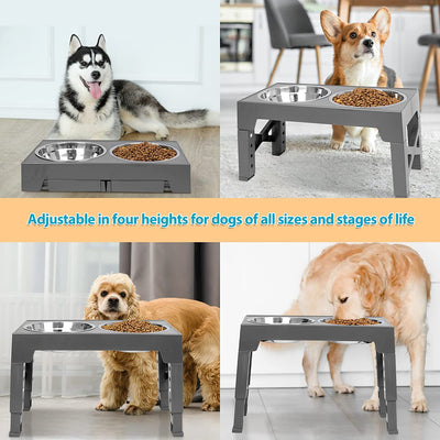 Comedero Elevado Antilento con Soporte para Cuello - Protección Cervical para Perros - Image 22