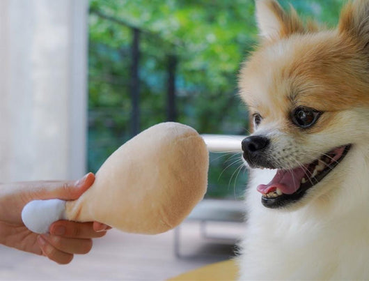 Juguete Interactivo para Perros y Gatos con Sonido Chirriante - Image 5