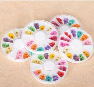 Joyería para Uñas con Flores Secas Naturales - Image 4