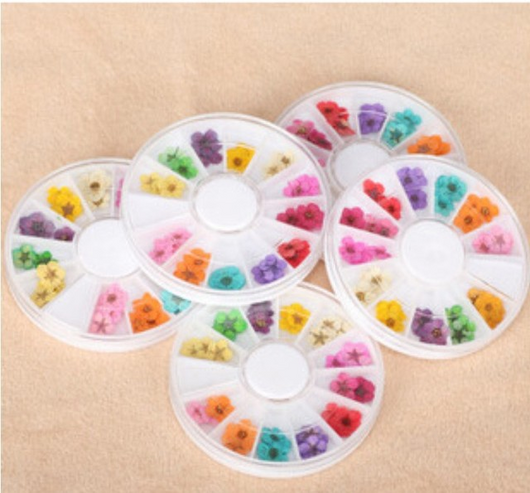 Joyería para Uñas con Flores Secas Naturales - Image 4