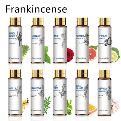 Aceites Esenciales Aromaterápicos 10ml - Lavanda, Rosa y Árbol de Té - Image 22