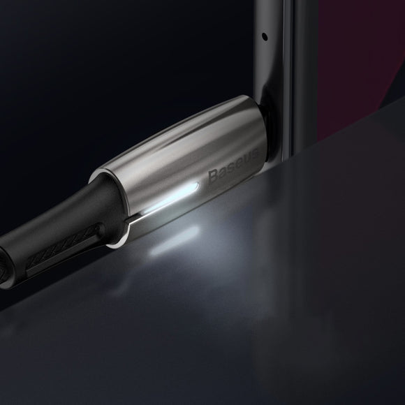 Cable Dual USB-C de Alta Velocidad