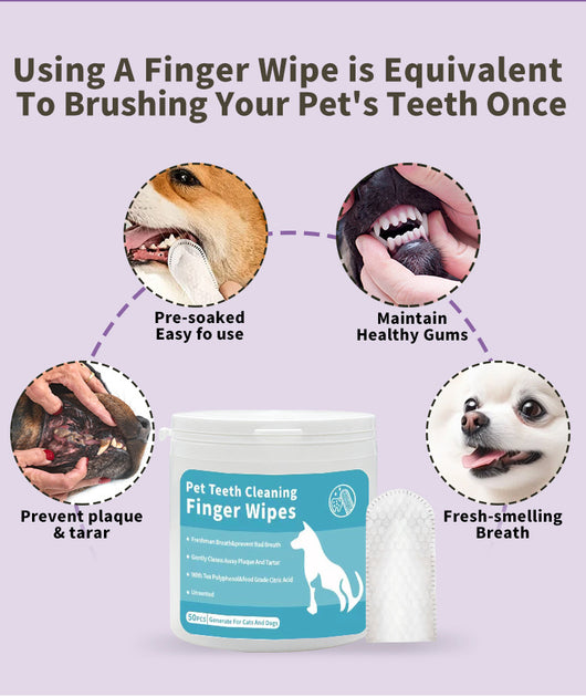 Kit Completo de Higiene Dental y Cuidado de Oídos para Mascotas - Image 13
