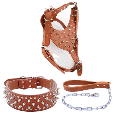 Juego de Remaches para Mascotas de Tres Piezas - Image 10