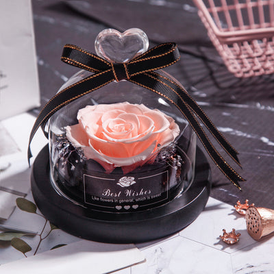 Rosas Eternas con LED en Vidrio - Flores Secas para Decoración y Regalos - Image 9