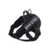 Black L