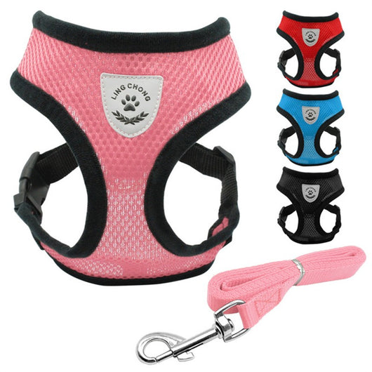 Arnés de Seguridad para Mascotas en Auto - Image 5