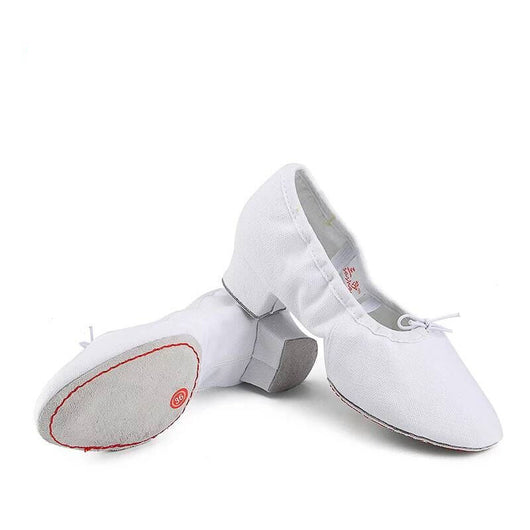 Zapatos de Danza de Suela Blanda en Lona - Image 6