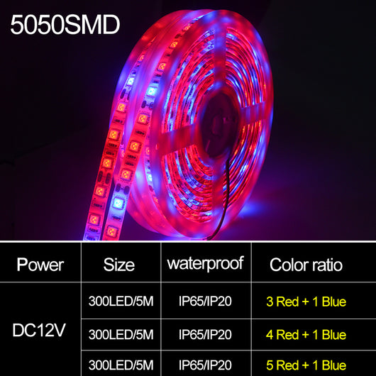Barra LED de Crecimiento 5050 Luz Suave 5M para Plantas - Image 3