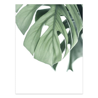 Póster de Plantas Tropicales Estilo Nórdico - Lámina de Hojas Verdes - Image 9