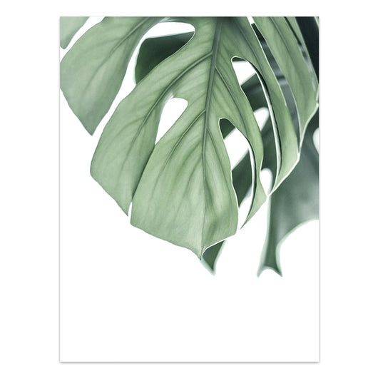 Póster de Plantas Tropicales Estilo Nórdico - Lámina de Hojas Verdes - Image 9