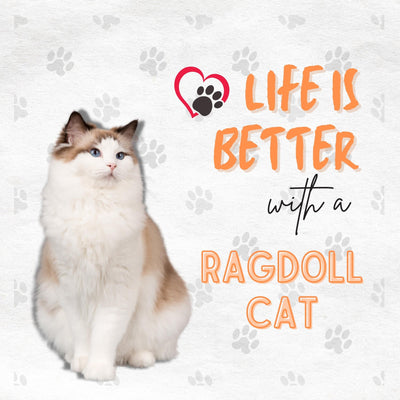 Funda de Almohada con Estampado de Gato Artístico en Algodón y Lino - Image 16