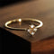 Anillos de Corazón Bajo el Cielo Nocturno