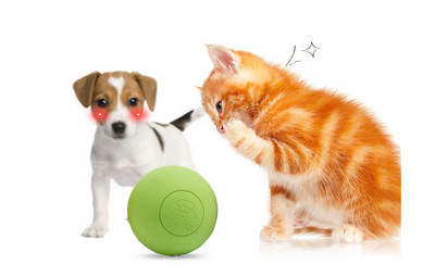 Red rubber elastic solid ball dog toy in clear blister packaging with images of dogs playing. - Image 3