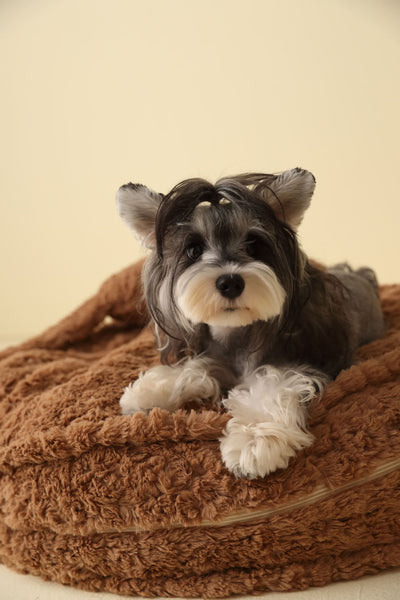 Colchoneta Universal para Mascotas Cuatro Estaciones - Image 11