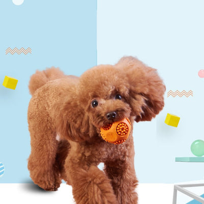 Orange textured pet toy ball with nubs and a bone-shaped logo, measuring 6cm, designed for chewing and sounding. - Image 8