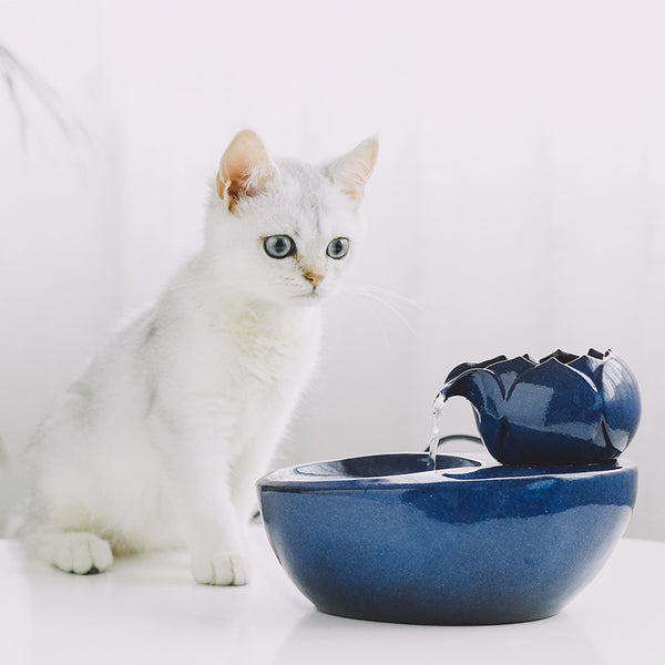 Fuente de Agua Circulante para Gatos - Bebedero Automático