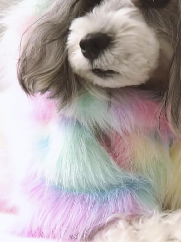 Chamarra Arcoíris para Mascotas Pequeñas