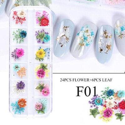 Flores Secas para Nail Art - Image 13