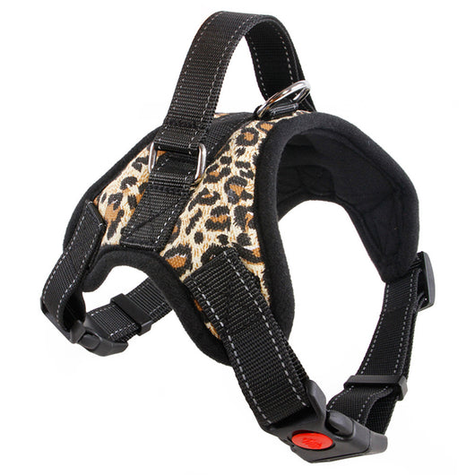 Collar para Perro Mediano y Grande de Calidad Premium - Image 11