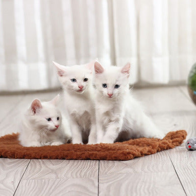 Rascador para gatos con fibra de cáñamo