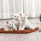 Rascador para gatos con fibra de cáñamo