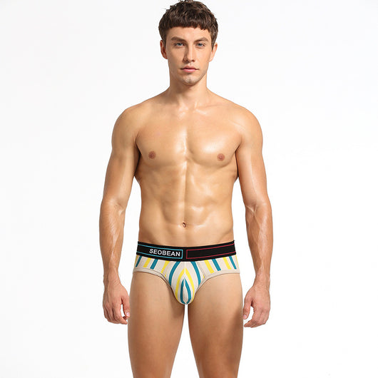 Calzoncillos de Algodón para Hombre con Rayas Verticales - Image 5