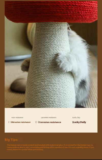Árbol Rascador de Seta para Gatos con Tablero de Sisal sin Pelusa - Image 13