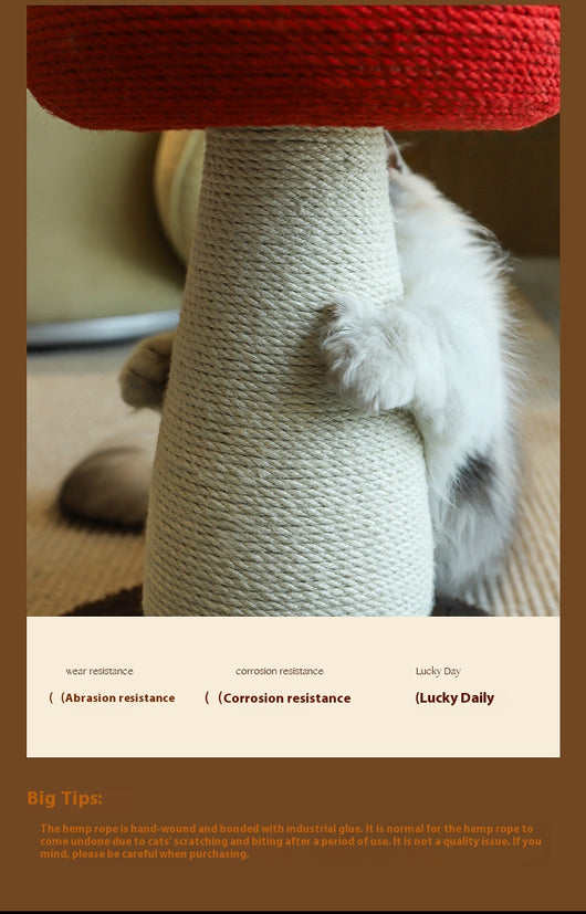 Árbol Rascador de Seta para Gatos con Tablero de Sisal sin Pelusa - Image 13