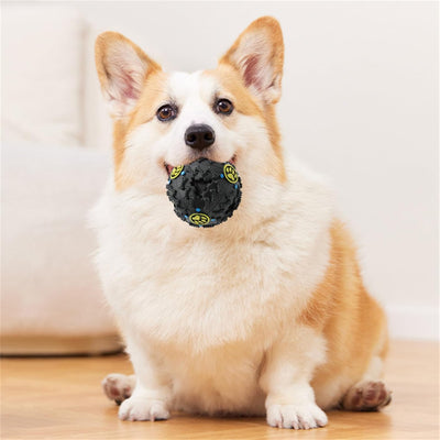 Pelota Interactiva Resistente para Perros - Juguete Puzzle Mordedor - Image 10