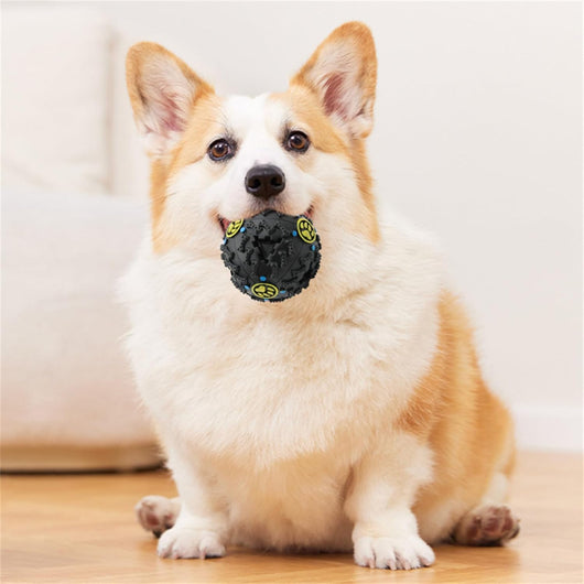 Pelota Interactiva Resistente para Perros - Juguete Puzzle Mordedor - Image 10
