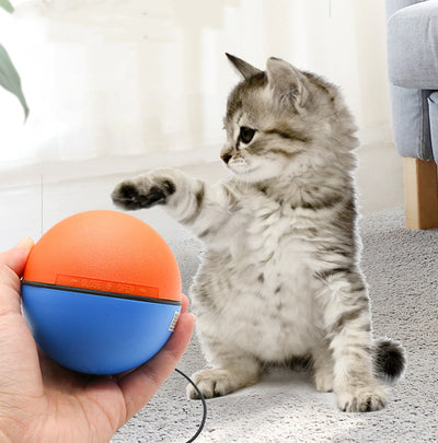Juguete Interactivo Automático para Gatos - Pelota Inteligente Limpiadora - Image 7