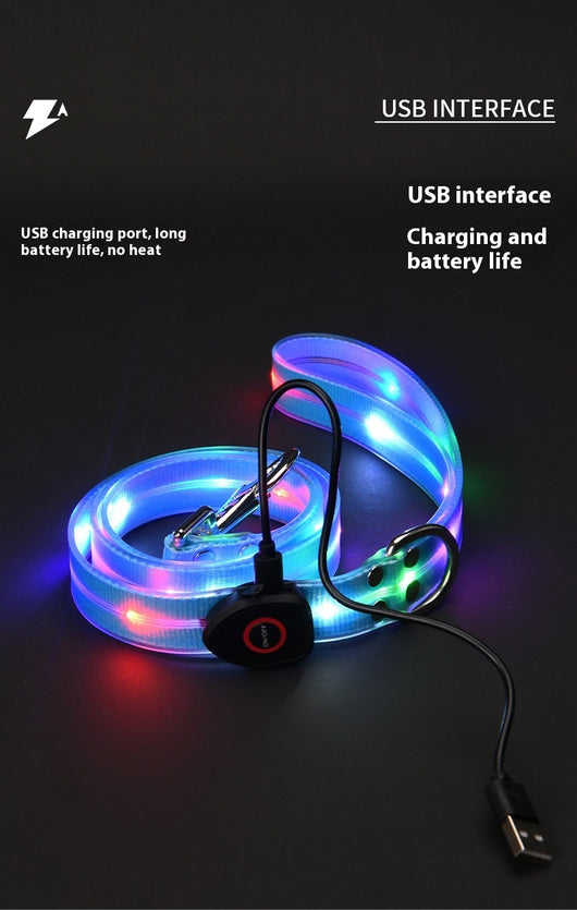 Correa LED Luminosa para Mascotas - Collar con Luz Emisora - Image 17