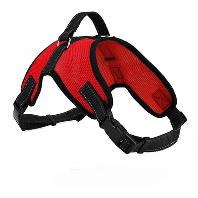 Arnés Pectoral Transpirable para Perro con Correa - Image 8