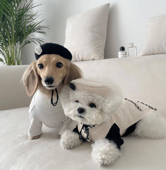 Gorro Tejido para Mascotas - Perros y Gatos - Image 9