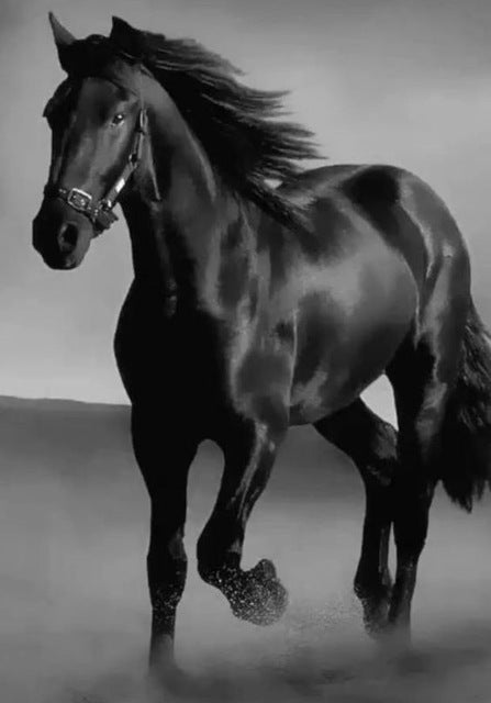 Cuadro Caballo Negro Moderno para Sala de Estar - Arte de Pared Contemporáneo